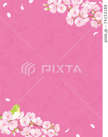 桜の背景素材　ピンクの和紙 74153188