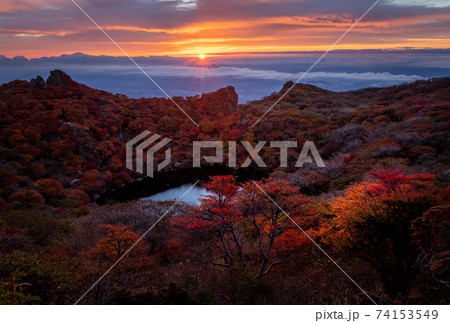 朝日に照らされる紅葉 74153549