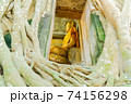 Buddha Statue and Tree Roots 74156298