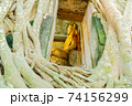 Buddha Statue and Tree Roots 74156299