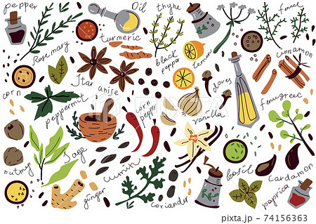 Spices doodle set 74156363