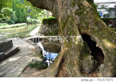 小国町のけやき水源 74157975