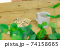 テーブルフォト 74158665