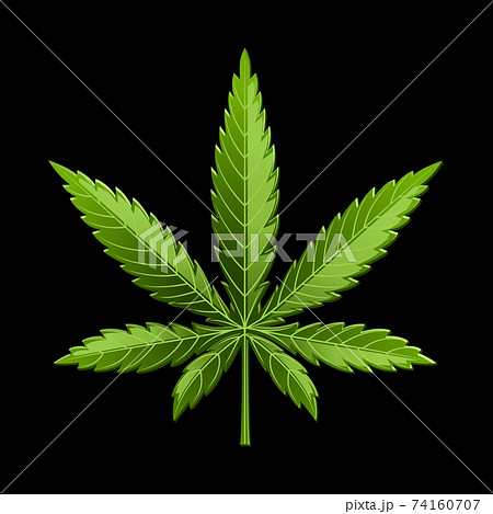 Marijuana Leaf Or Cannabis Leaf Weed Iconのイラスト素材