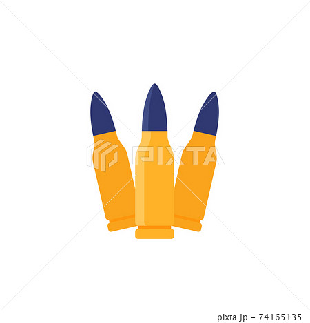bullets, ammo icon, flat vector 74165135