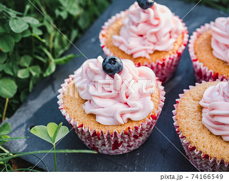 Fresh, fragrant homemade pastries. Close-up, side view Fresh, fragrant homemade pastries. Close-up, side view 74166549