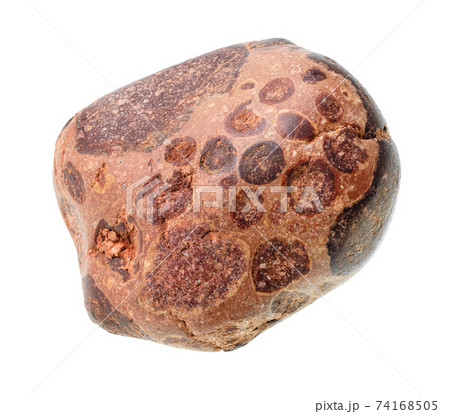 tumbled bauxite ( aluminium ore) stone cutout tumbled bauxite ( aluminium ore) stone cutout 74168505