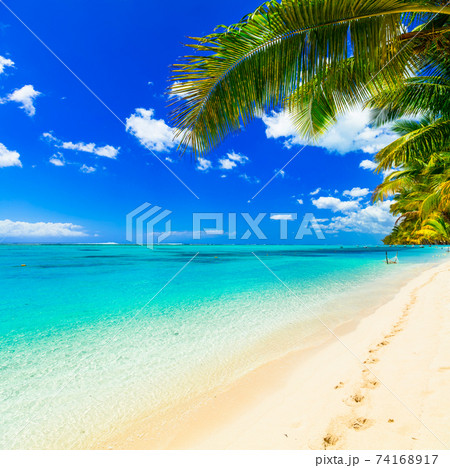 perfect tropical white sandy beach 74168917