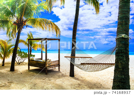 Relaxing tropical holidays with hammock under palm tree. Mauritius island 74168937