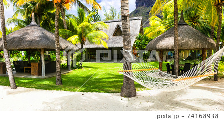 Relaxing tropical holidays with hammock under palm tree. Mauritius island 74168938