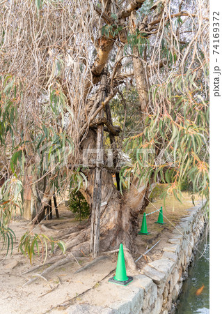 【広島県】　広島城 74169372
