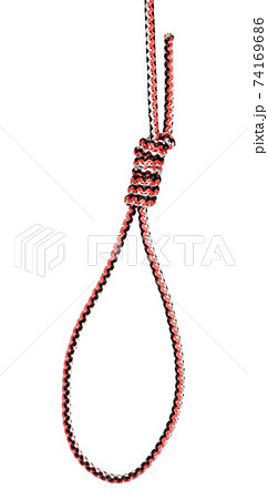 Hangman's loop tied on synthetic rope cut out 74169686