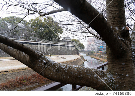 【熊本県】　熊本城 74169886