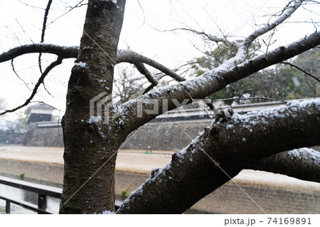 【熊本県】 熊本城 【熊本県】 熊本城 74169891