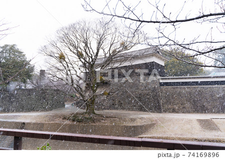 【熊本県】　熊本城 74169896