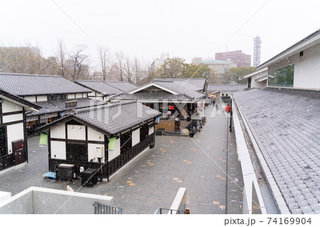 【熊本県】　熊本城 74169904
