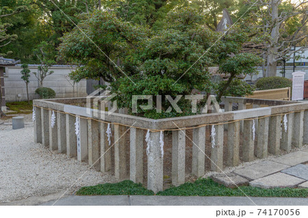 常泉寺 常泉寺 74170056