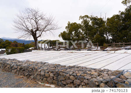 【熊本県】　熊本城 74170123