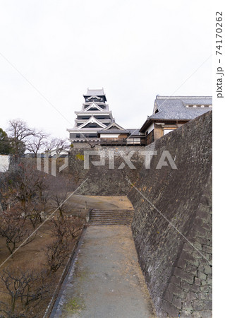 【熊本県】　熊本城 74170262
