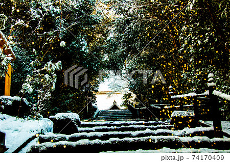 仙台 北山 輪王寺の参道に降る金色のぼた雪 仙台 北山 輪王寺の参道に降る金色のぼた雪 74170409