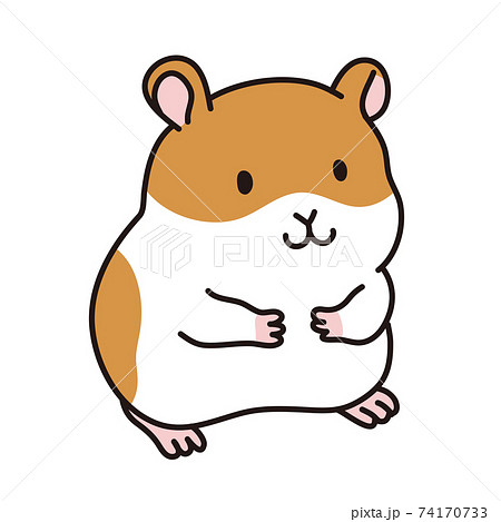 Golden Hamster Illustration Stock Illustration