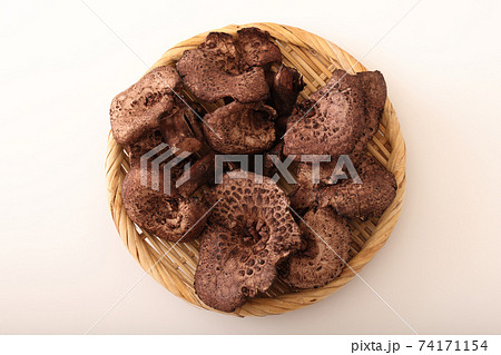 香茸 コウタケ 香茸 コウタケ 74171154