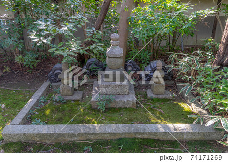 桃厳寺 桃厳寺 74171269