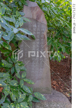桃厳寺 桃厳寺 74171272