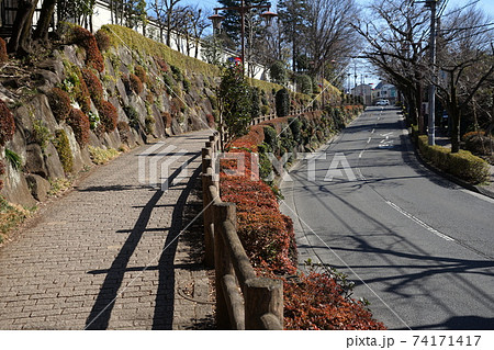 2月　調布828国分寺崖線(深大寺東参道･深大寺通り) 74171417