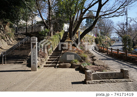 2月　調布826国分寺崖線(深大寺通り･多聞院坂) 74171419