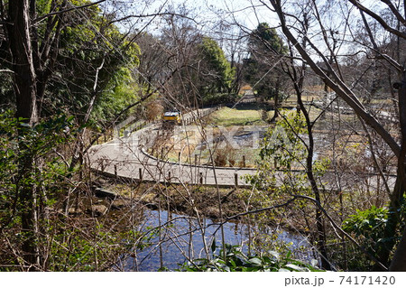 2月　調布825水生植物園(ハケ･国分寺崖線)･神代植物公園 74171420