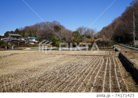 2月 調布0里山 農風景 と調布市立野草園 国分寺崖線 深大寺自然広場の写真素材