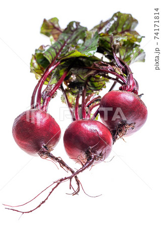 Bunch of fresh beets with leaves isolated on white. Bunch of fresh beets with leaves isolated on white. 74171814