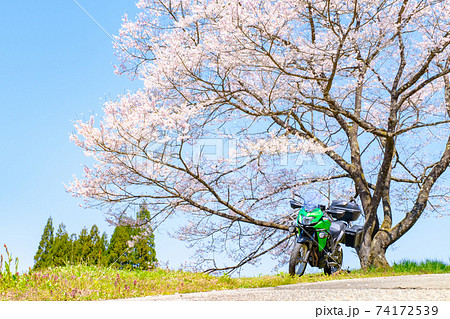 ツーリング（春） 74172539