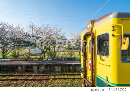 「千葉県」いすみ鉄道の黄色い電車と桜　 74172702