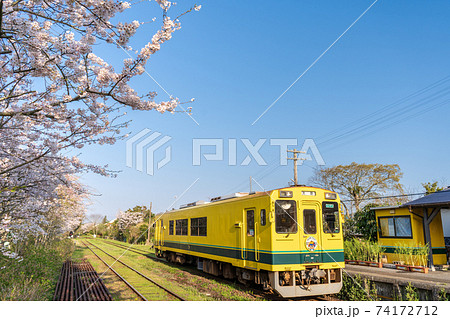 千葉県」いすみ鉄道の黄色い電車と桜 の写真素材 [74172712] - PIXTA