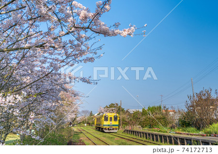 「千葉県」いすみ鉄道の黄色い電車と桜　 74172713