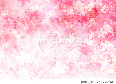 桜 春 花 背景 桜 春 花 背景 74172748