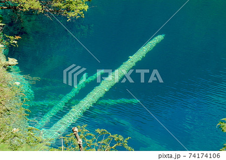 世界自然遺産　中国　四川省　九寨溝　臥龍海の石灰華倒木 74174106