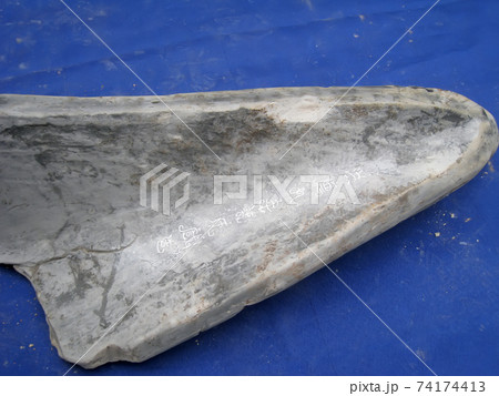 Chu Dau ceramic 74174413