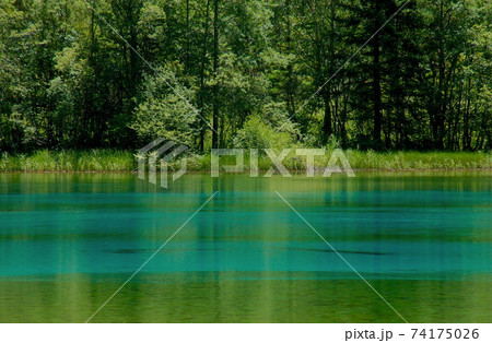 世界自然遺産　中国　四川省　九寨溝・エメラルドグリーンの五花海 74175026