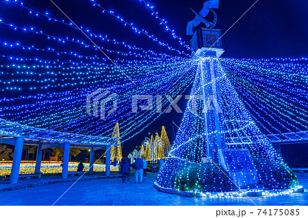 岐阜県海津市 木曽三川公園センターのイルミネーションイベント 冬の光物語の写真素材