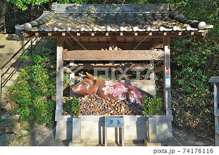 【田倉牛神社】 岡山県備前市吉永町福満 【田倉牛神社】 岡山県備前市吉永町福満 74176116