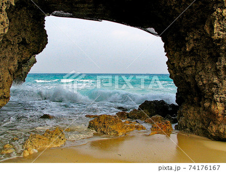 亜熱帯植物の楽園 宮古島 亜熱帯植物の楽園 宮古島 74176167