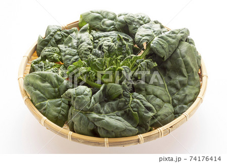 冬野菜、縮みホウレン草 74176414
