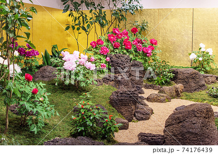 Japanese Garden With Blooming Peony Indoor Stock Photo