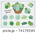多肉植物のイラストセット 74176585