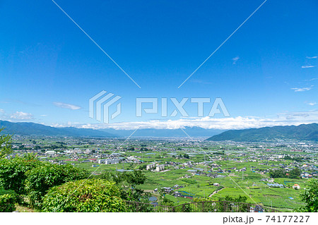 甲州市勝沼ぶどうの丘 甲府盆地 ぶどう畑 甲州市勝沼ぶどうの丘 甲府盆地 ぶどう畑 74177227