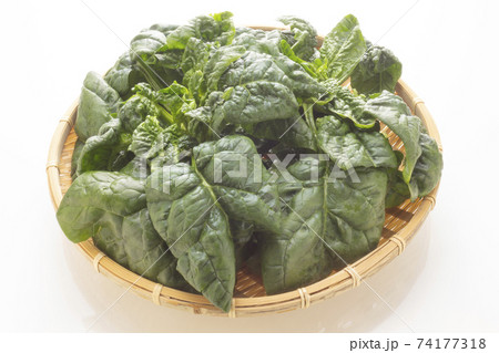 新鮮な縮みホウレン草 74177318