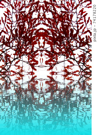 Flower Flower 74178220